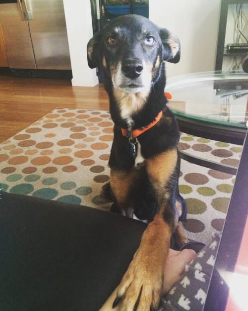 sarcasticnursejess: We need to talk… I would like to go outside. Now.