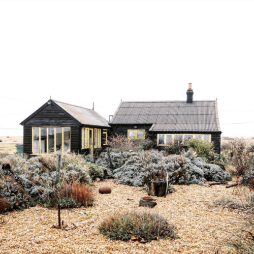 girlinthepark:Joe Pickard | Derek Jarman’s Garden.