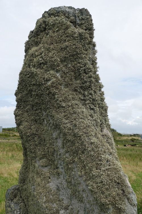 Ty Mawr Standing Stone, Anglesey, North Wales, 30.7.17. A solitary but impressive standing stone; p