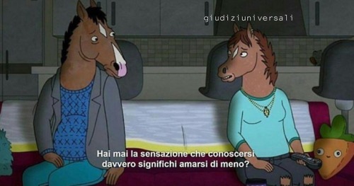 Serie tv: Bojack Horseman