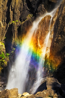 earthdaily:  Lower Yosemite (by~Mashuto) 