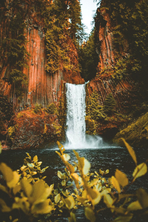 lsleofskye: Toketee Falls, Oregon | jguzmannn