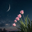 jellyfish-and-stars