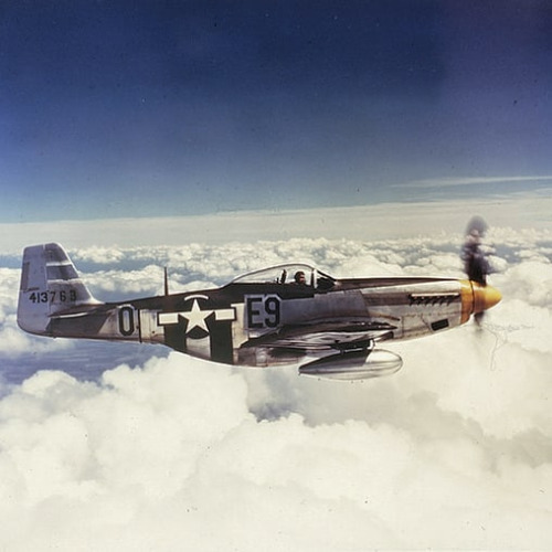 bill-kelso-mfg:Mustang P-51 - 361st Fighter