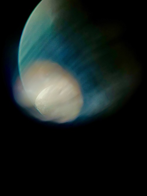 Some Pictures I Took Of The Moon During A Stargazing Trip!
