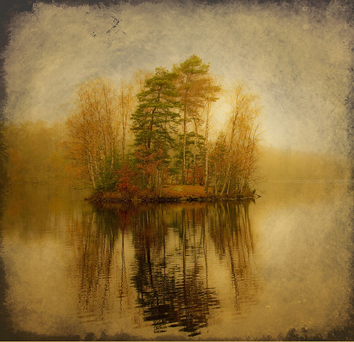 Autumn colors on the small island by Master Pedda on Flickr.