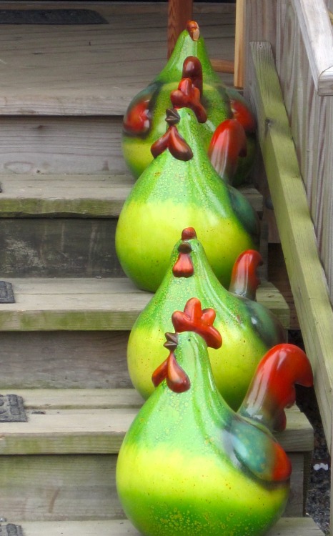 Chickens on the Stairs (Ceramic Ones Anyway), Madison, ole Virginny, 2016.