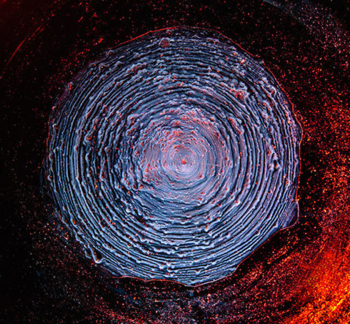 thecreatorsproject: Up Close, Dried Whiskey Looks Like The Cosmos