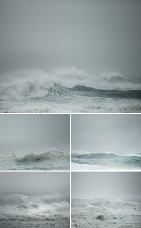 Nature is like that&hellip; &lsquo;Emotional&rsquo;. (by Simon Harsent - Hurricane Irene