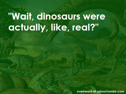 dinosaurhorrorshow:  Omg this hurts….   Are people actually this stupid?