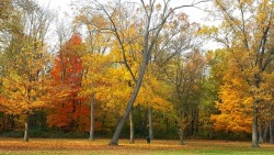 bookofoctober:Halloween colors- October 31, 2016 in Huron Charter Township, MI. Photos by MichiganSnowLvr