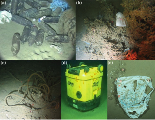 marinelitter:   Litter on the deep seafloor. A) Plastic bags and bottles dumped 20 km off the French