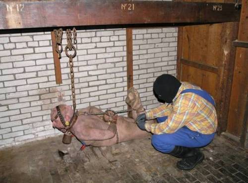 objectd:maturemenintrouble:When it seems the farmer’s slave has reached his limits, a new torture co