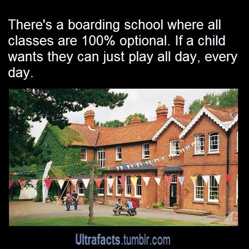 pizzaismylifepizzaisking:  ultrafacts:  Want more facts on your dash? Click HERE