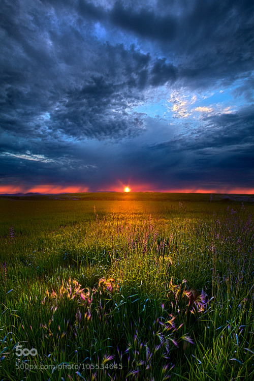 chepe1928: Revelations by PhilKoch