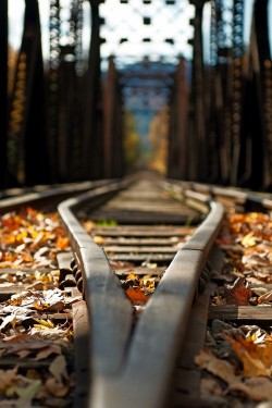 e4rthy:  Rail by Stephen Rovetti