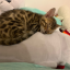 churritoneedsleep