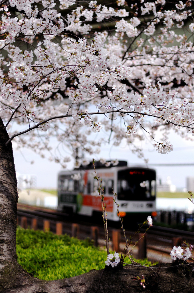 miariin:  by Mitsuaki. T 