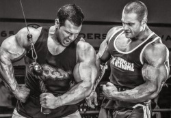 drwannabe:  Steve Kuclo and Evan Centopani