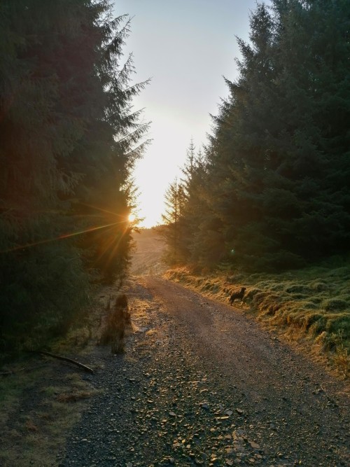 This Morning's Sunrise Over The Mist Filled Valley...