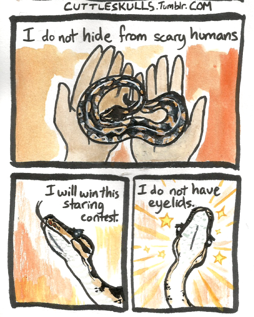 cuttleskulls:A comic for my very brave little noodle who doesn’t ball up when he’s scared.Inspired by all other snake co