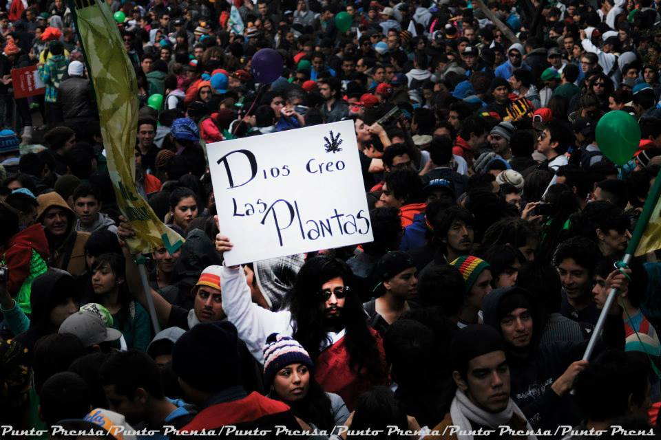 encapuchadoconsciente:  Marcha Por la despenalizacion de la marihuana  Al rededor