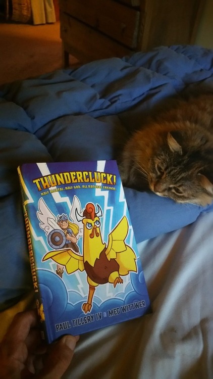 THUNDER THURSDAY #82: Final Prints of the Book! (And my cat is not impressed.)Hey folks, Paul here f