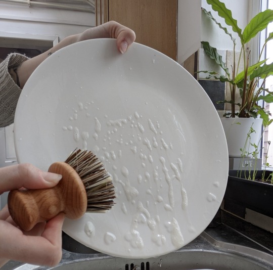 Plastic free dishwashing