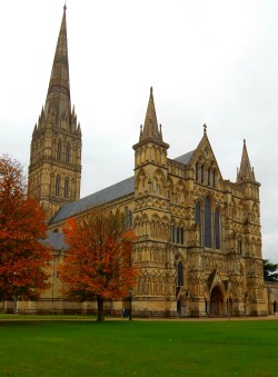 fuckitandmovetobritain:  Salisbury Cathedral,