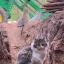 interested-life