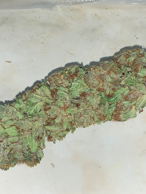 Blackberry Kush