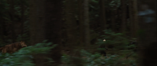 The Romanian Coven's Firstappearence In "Breaking Dawn Part 2".