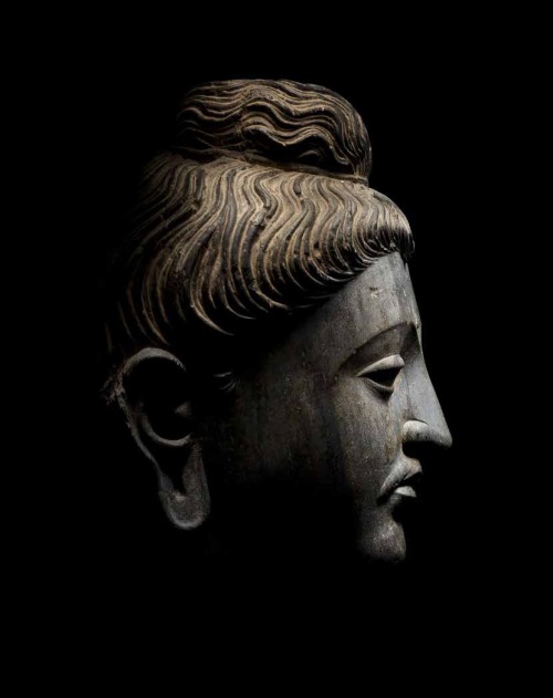 Buddha head from Gandhara