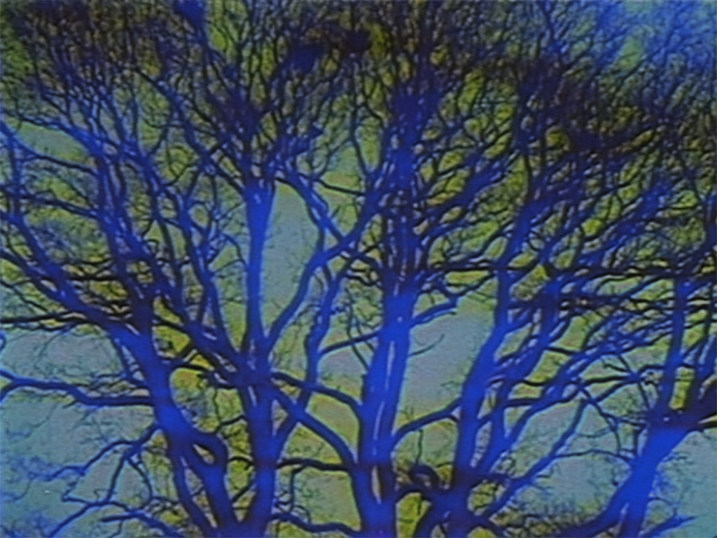vhs+the unholy magnetic union
