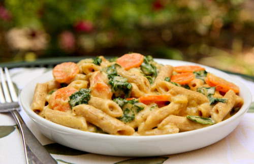 alloftheveganfood:  Vegan Cashew Cheese Pasta Round Up Best Ever Vegan Mac & Cheese (GF) Vegan Lasagna with Basil Cashew Cheeze Baked Shells Stuffed with Cheesy Butternut Squash Toasted Ravioli Stuffed with Cultured Cashew Cheese Pasta with Kale in