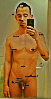 Darthjoey:  Using My Body As An Anatomy Chart