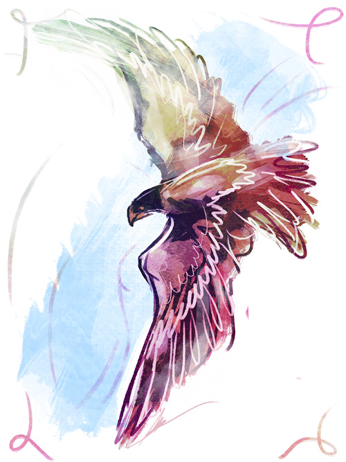 birb