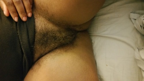 Hairy, Vintage, Retro, Chocolate Pussy Cats
