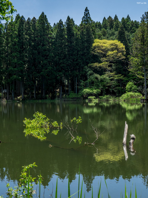 先日のことではございますが、恒例のメンツで撮影会へと洒落込んできましたの。今回も安心と信頼の@masachiさんプロデュースコース、まずは龍王ヶ淵からでございます。前日までの雨が嘘のようにええ天気でご