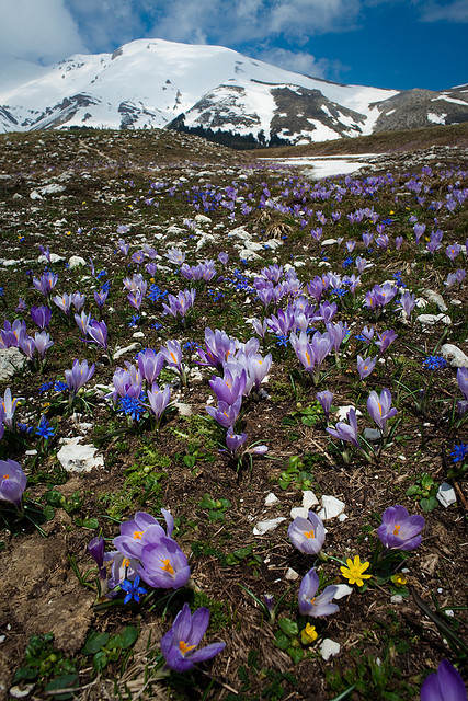 gran sasso - campo imperatore by paraluci on Flickr.