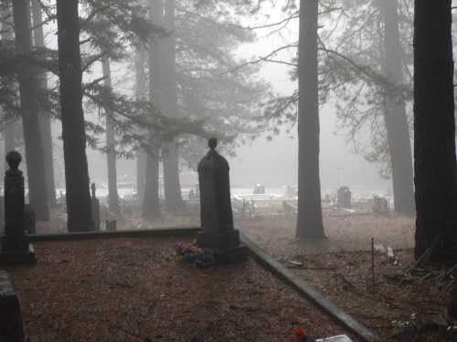 thizzle-dance:Roslyn Cemetery One of My favorite places to go it’s just so peaceful