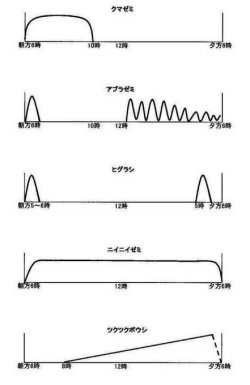 petapeta:  【夏休み子ども科学電話相談