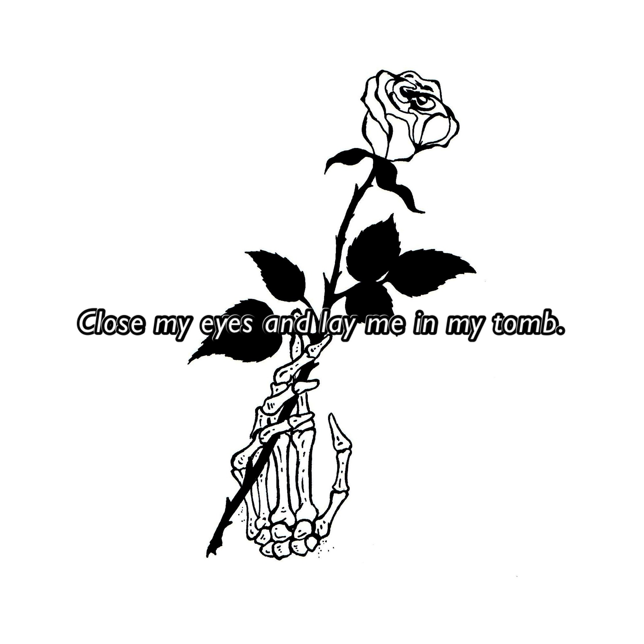 Pop Punk Is NOT Dead On Tumblr pop-punk-s-not-dead