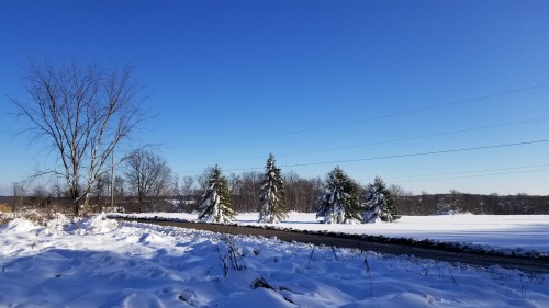 thingssthatmakemewet:Beautiful winter day hunting with @mossyoakmaster ended with a beautiful sunset 🥰🌞💖 It was a gorgeous day in the woods baby🥰😘