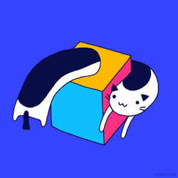 cindysuen:  My submission for loopdeloop-blog&rsquo;s twist theme is of course cats and cube.