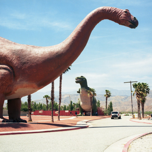 williammarksommer:  Cabazon Dinosaurs California