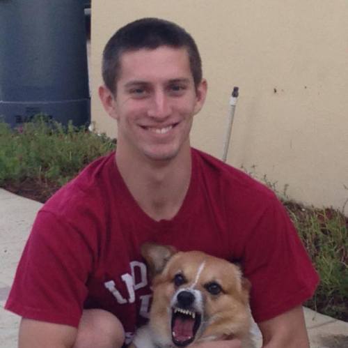 Men And Their Dogs