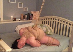 puppygirlrowan:rebirthsome stills from another solo rope night