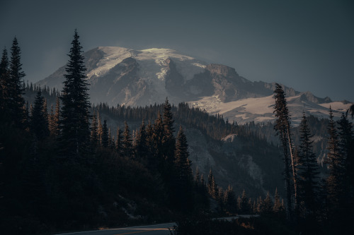 Mount Rainier National Park during a clear sunny day. Though I put my own style on it. For more of m