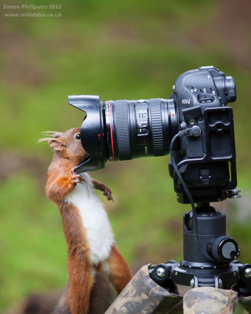 Self Portrait Photo by Simon Phillpotts